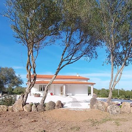 Casa Vacanze Olbia - Alebea - Экстерьер фото