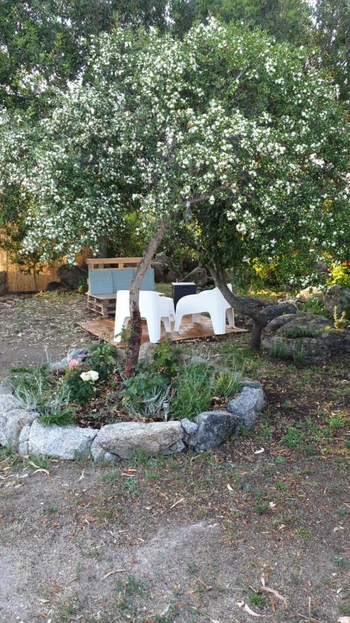 Casa Vacanze Olbia - Alebea - Экстерьер фото